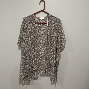 APRICOT Butterfly Pattern Sheer Blouse